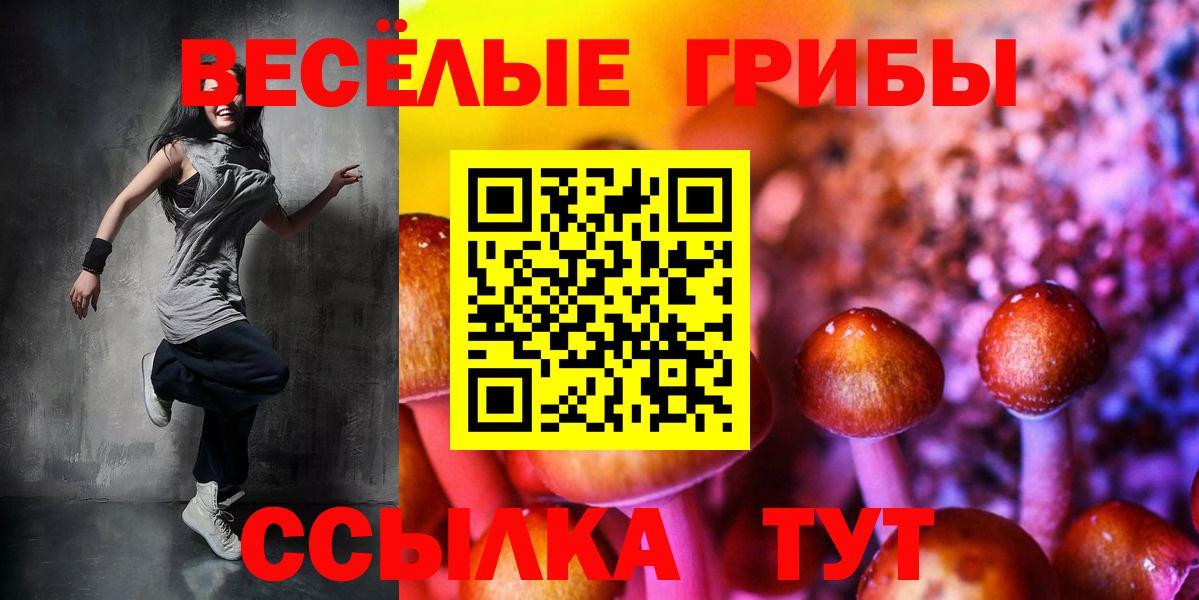 Шелехов  Псилоцибиновые грибы Psilocybe  Вход с VPN 